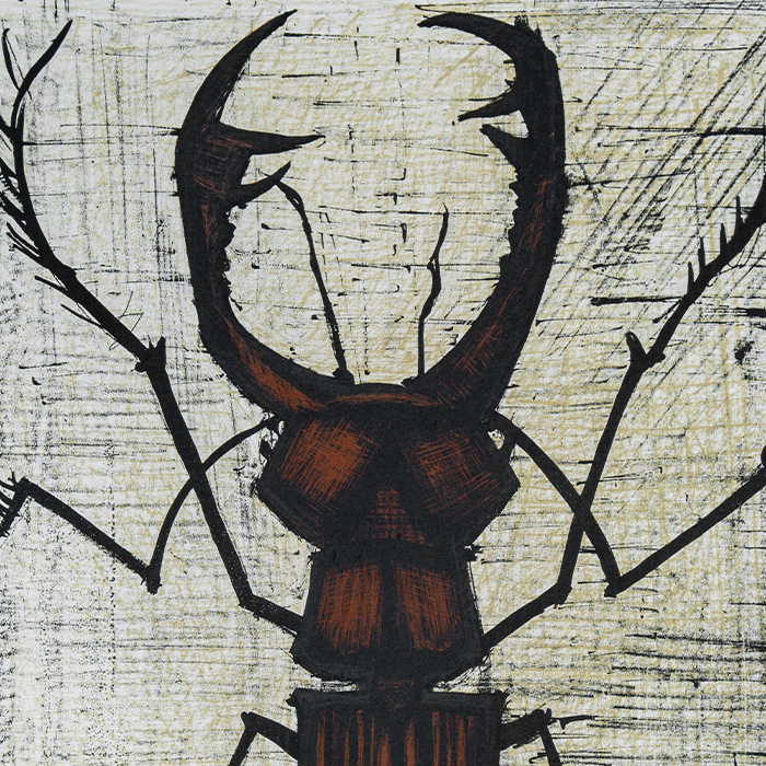 Bernard Buffet, "Le Lucane", lithograph in colors on paper, signed and numbered, of 1964 - Detail D1