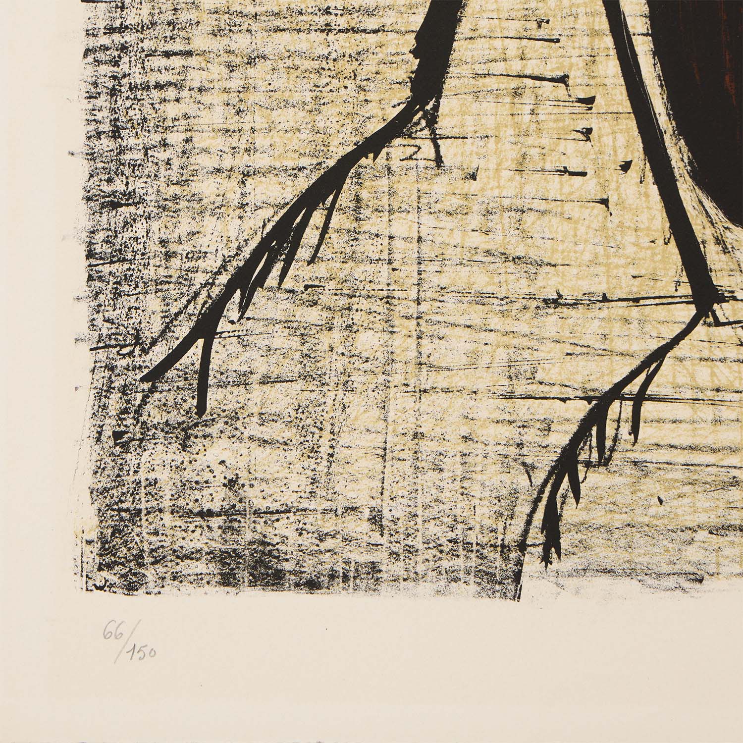 Le Lucane - 1964 - Detail D3