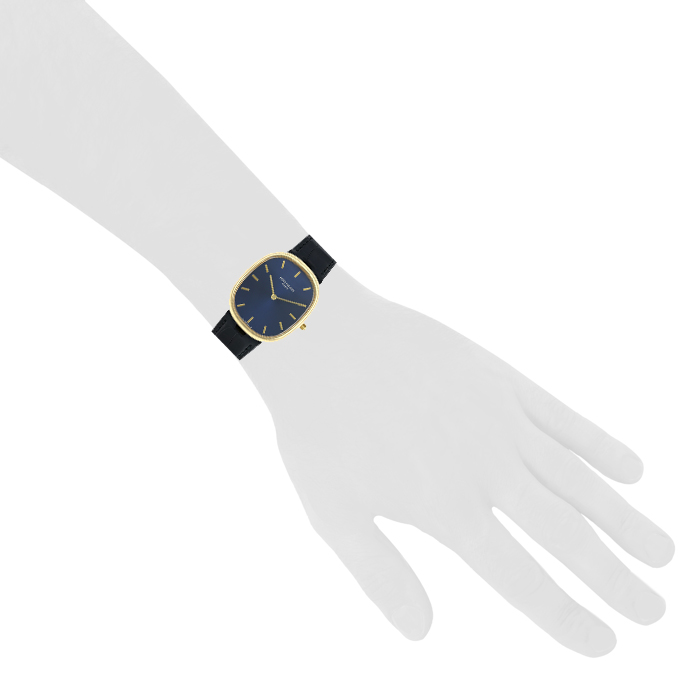Reloj Patek Philippe Ellipse de oro amarillo Ref : 3738 Circa 2000 - Detail D1