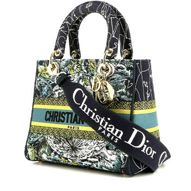 Christian Dior 1990-2000s pre-owned Oblique travel handbag