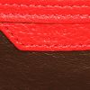 Sac à main Celine Luggage en cuir rouge et marron - Detail D3 thumbnail