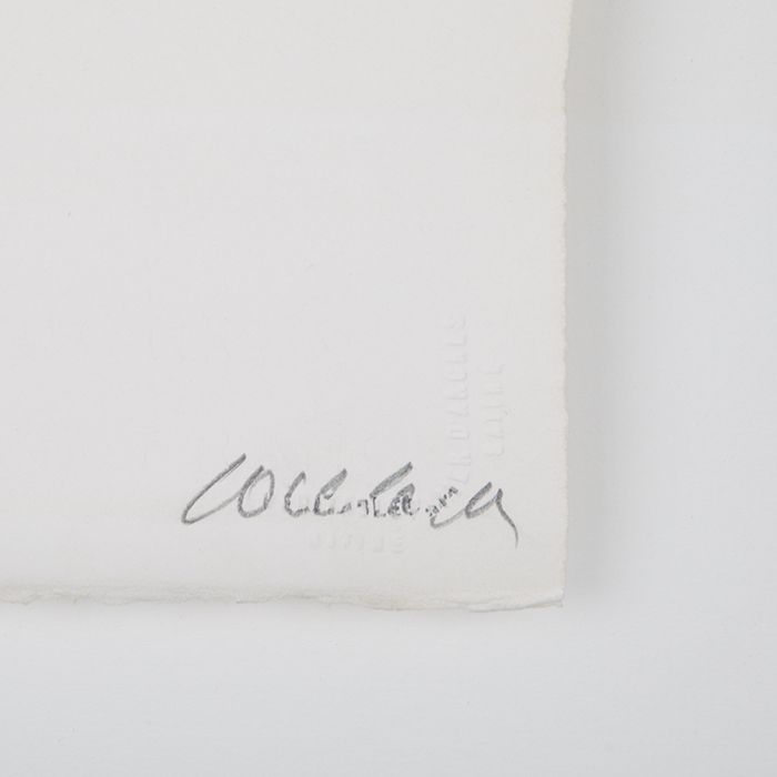 Pierre Soulages, "Sérigraphie n°12", sérigraphie en couleurs sur papier, signée, numérotée et encadrée, de 1979 - Detail D3