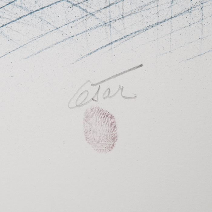 César, "Compression de cartes postales", lithographie en couleurs sur papier chiffon, signée et numérotée, cachet de l'imprimeur, de 1979 - Detail D3