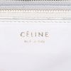 Bolso bandolera Céline Classic Box en piel de pitón beige - Detail D3 thumbnail