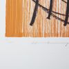 Hans Hartung, "L1971-1", lithograph in colors on paper, signed and numbered, of 1971 - Detail D2 thumbnail