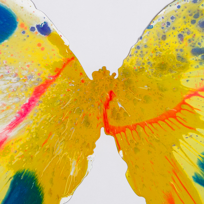 Damien Hirst, "Butterfly Spin", acrylique sur papier, tampon de l'artiste et du musée Pinchuk Art Center, encadré, de 2009 - Detail D1