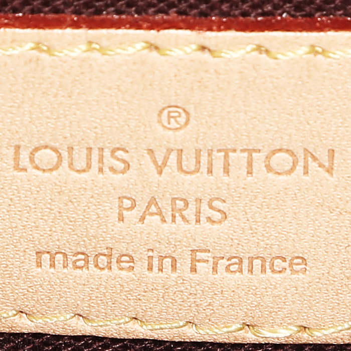 Borsa a tracolla Louis Vuitton  Favorite in tela monogram marrone e pelle naturale - Detail D4