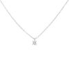 Tiffany & Co  necklace in platinium and diamond - 00pp thumbnail
