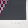 Victor Vasarely, "Bi-Tupa", from the album "Meta", serigraph in colors on paper, artist proof, signed, of 1976 - Detail D3 thumbnail
