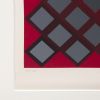 Victor Vasarely, "Dell-Surk" (or VY47H), from the album "Gaia", serigraph in colors on paper, artist proof, signed, of 1975 - Detail D2 thumbnail