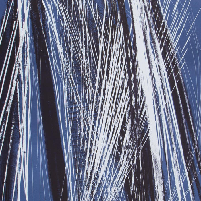 Hans Hartung, "L 1971-6 | C", zincography in colors on paper, signed and numbered, of 1971 - Detail D1