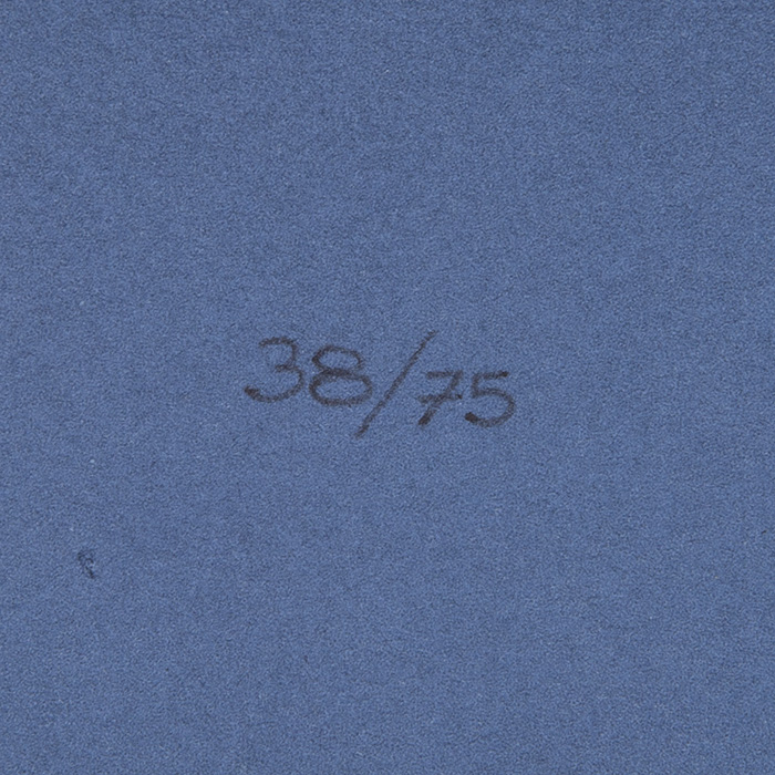 Hans Hartung, "L 1971-6 | C", zincography in colors on paper, signed and numbered, of 1971 - Detail D2