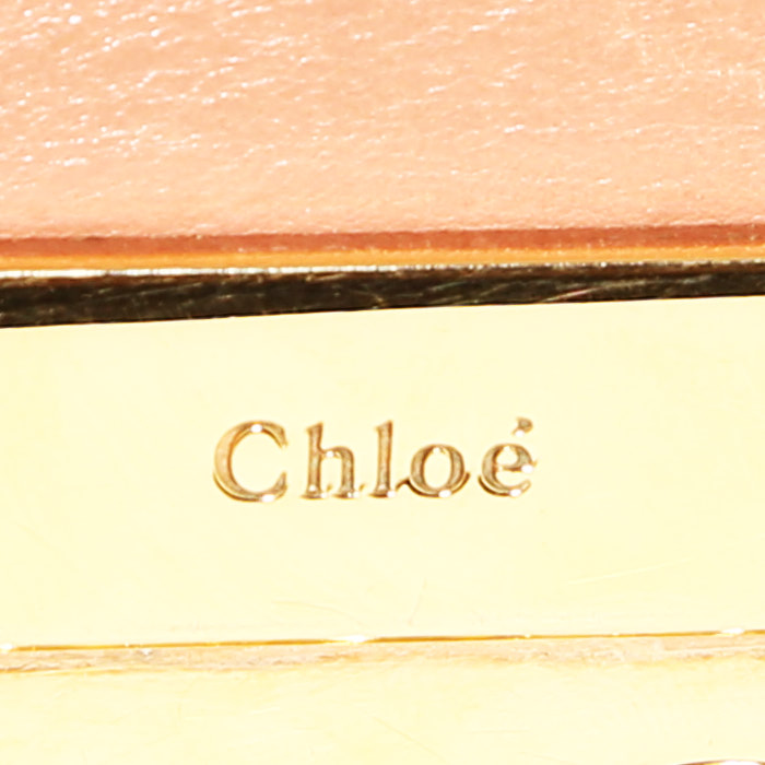 Bolso bandolera Chloé Elsie en cuero rosa - Detail D4