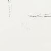 Alberto Giacometti, "Nu aux fleurs", lithograph in black on vellum paper, signed, numbered and framed, of 1960 - Detail D3 thumbnail