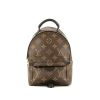 Mochila Louis Vuitton  Palm Springs Backpack Mini en lona Monogram marrón y cuero negro - 360 thumbnail
