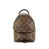 Zaino Louis Vuitton  Palm Springs Backpack Mini in tela monogram marrone e pelle nera - 360 thumbnail