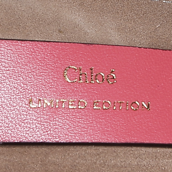 Chloé  Faye shoulder bag  in pink smooth leather  and red grained leather - Detail D2
