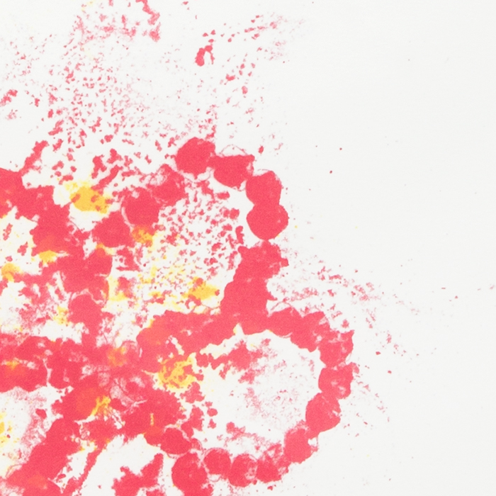 Jean-Michel Othoniel, "Plum Blossom", lithograph in colors on paper, signed, numbered and framed, of 2022 - Detail D1