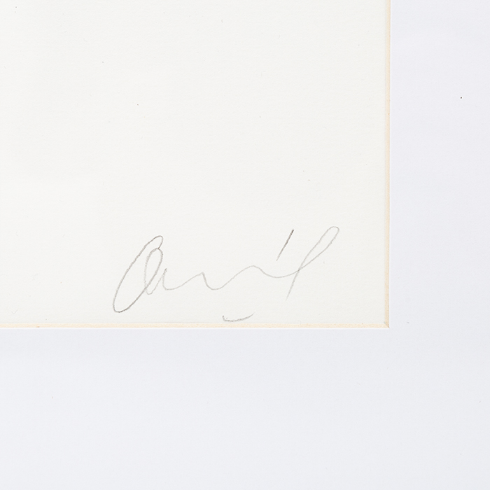 Jean-Michel Othoniel, "Plum Blossom", lithograph in colors on paper, signed, numbered and framed, of 2022
