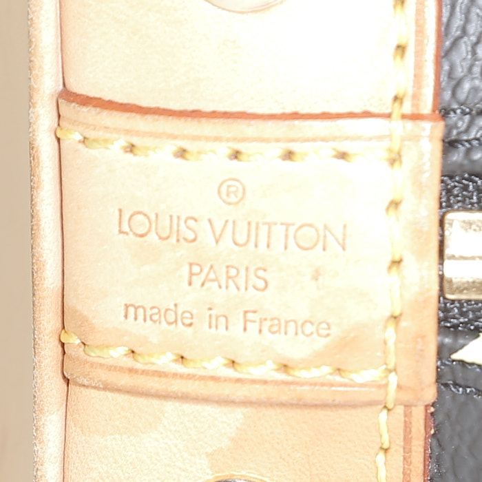 Borsa Louis Vuitton  Alma Editions Limitées in tela monogram cerata multicolore e nera e pelle naturale - Detail D3