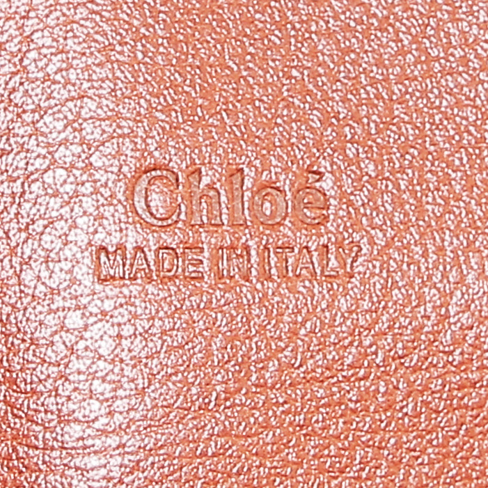 Bolso Cabás Chloé  Edith en cuero marrón y tejido de lana con rayas - Detail D4