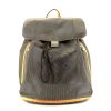 Louis Vuitton  Geant Pionnier backpack  in grey canvas  and natural leather - 360 thumbnail