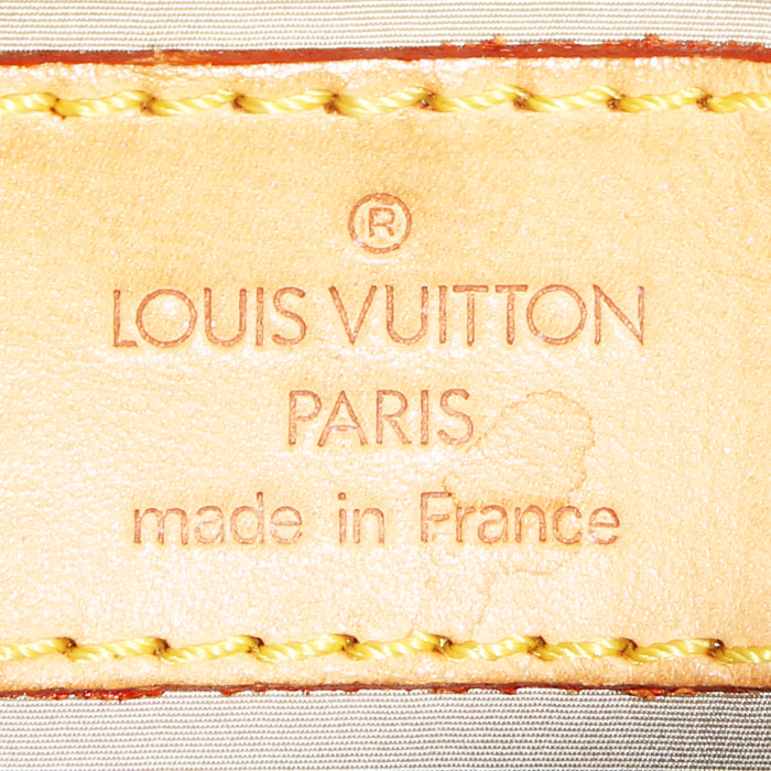 Sac à dos Louis Vuitton  Geant Pionnier en toile grise et cuir naturel - Detail D3