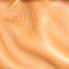 Sac à main Bottega Veneta  Shoulder Pouch en cuir marron - Detail D3 thumbnail