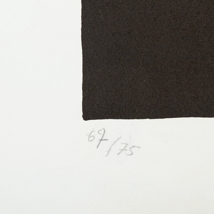 Sonia Delaunay, "Cinema", lithograph in colors on paper, numbered and signed, of the 1970's - Detail D3