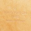 Bolso de mano Louis Vuitton  Stresa en lona Monogram marrón y cuero natural - Detail D3 thumbnail