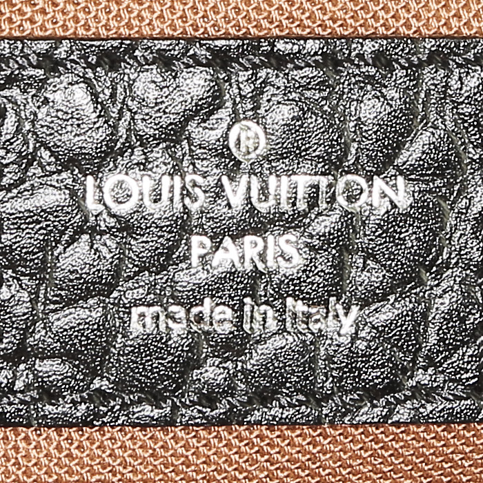 Bolso de mano Louis Vuitton   en lona marrón y negra y cuero negro - Detail D3