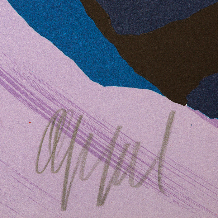 Karel Appel, "Another Blue head again", lithograph in colors on paper, signed and justified, of 1978 - Detail D2