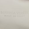 Bottega Veneta  Pouch handbag/clutch  in beige and brown leather - Detail D3 thumbnail