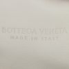 Bottega Veneta  Pouch handbag/clutch  in beige python - Detail D3 thumbnail
