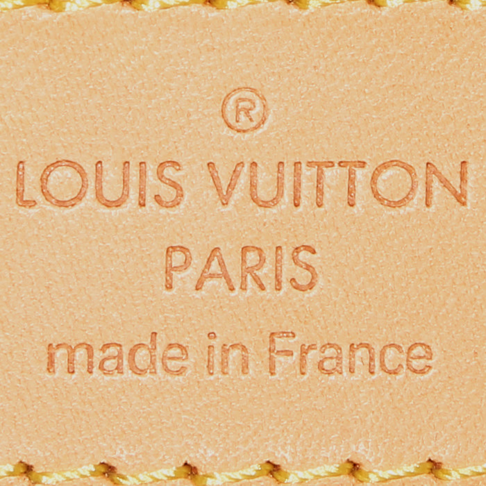 Bolsa de viaje Louis Vuitton  Geant Albatros en lona monogram marrón y cuero natural - Detail D3