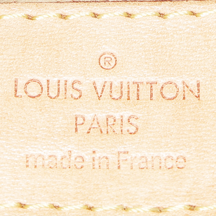 Borsa Louis Vuitton  Artsy in tela monogram marrone e pelle naturale - Detail D3