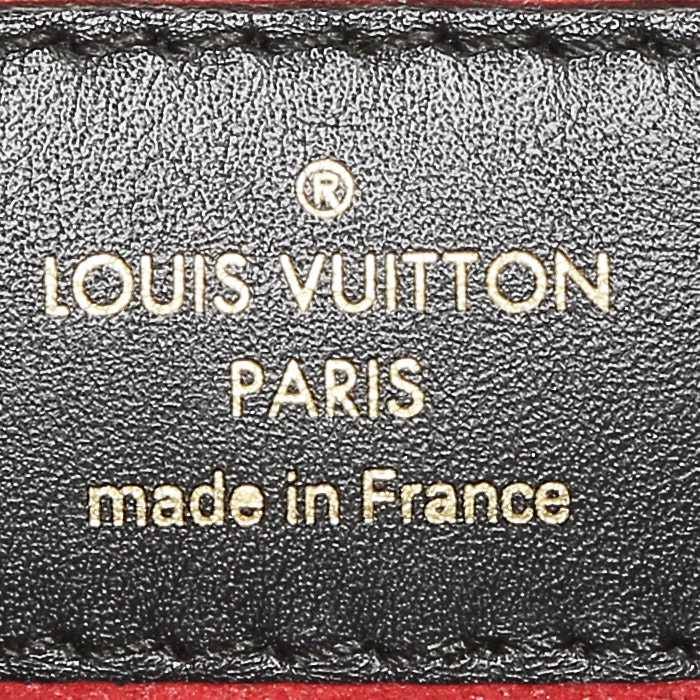 Louis Vuitton  Tuileries handbag  in brown and black leather  and brown monogram canvas - Detail D4