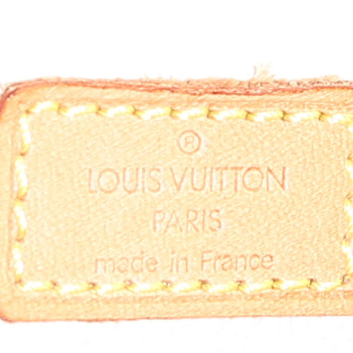 Sac à main Louis Vuitton  Spontini  en toile monogram enduite marron et cuir naturel - Detail D4