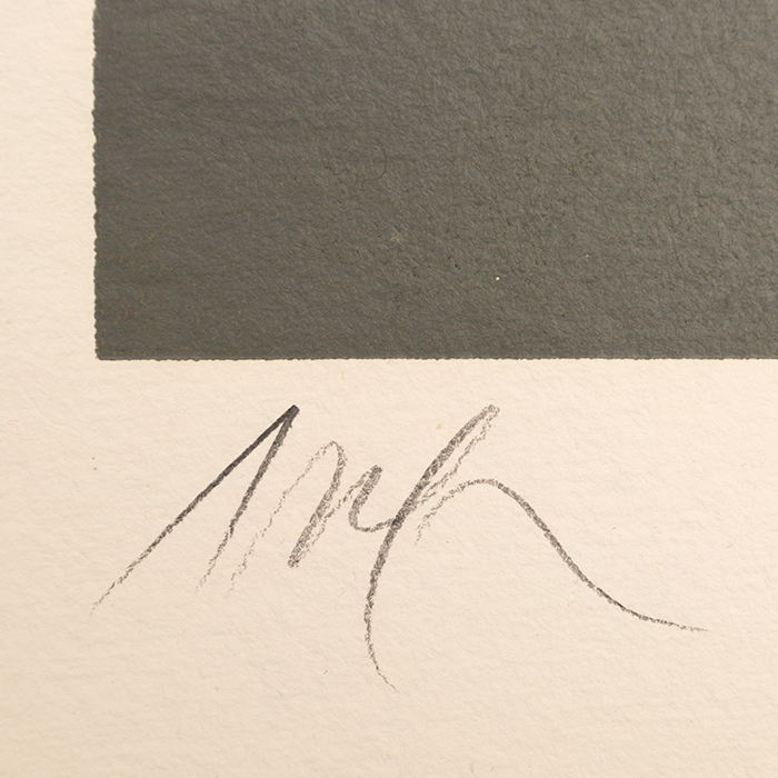 Jean Arp (1886-1966), Soleil recerclé -1966 - Detail D2