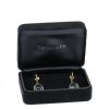 Tiffany & Co Olive Leaf earrings in yellow gold and topaz - Detail D2 thumbnail