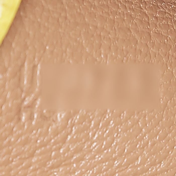 Borsa Hermès  Kelly 25 cm in pelle Epsom tricolore beige Chai malva Sylvestre e giallo Lime - Detail D5
