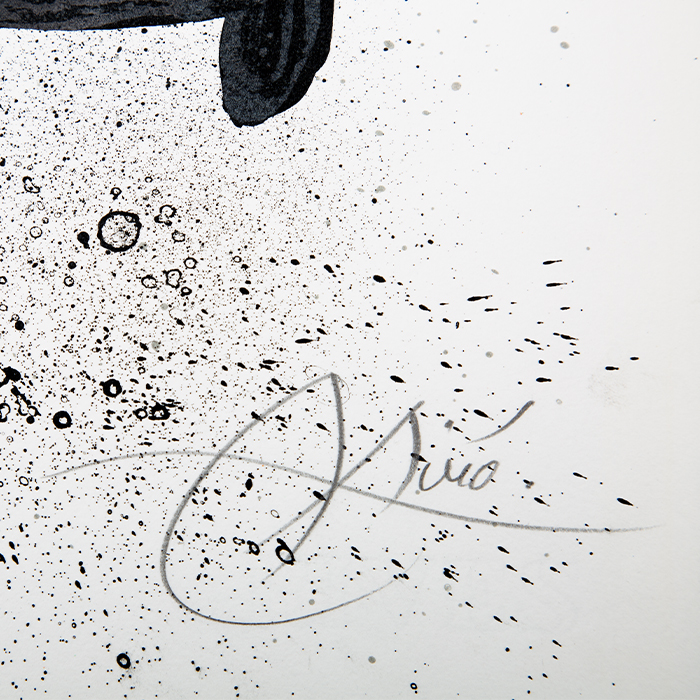 Joan Miró, "Barrio Chino", lithograph in colors on paper, signed and numbered, of 1971 - Detail D2