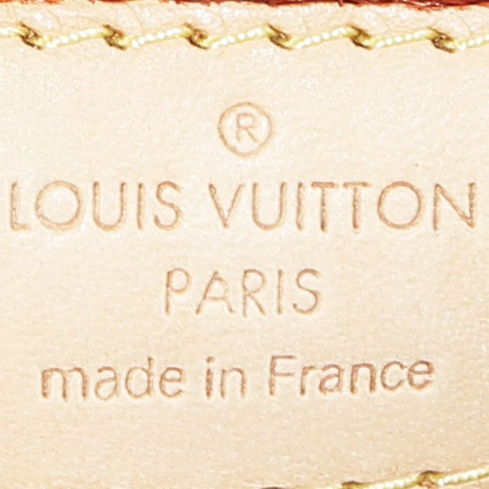 Louis Vuitton   in tela monogram marrone e pelle naturale - Detail D3