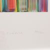 Bernard Frize, "Neoci", impression digitale en couleurs sur papier, signée, numérotée et encadrée, de 2013 - Detail D2 thumbnail