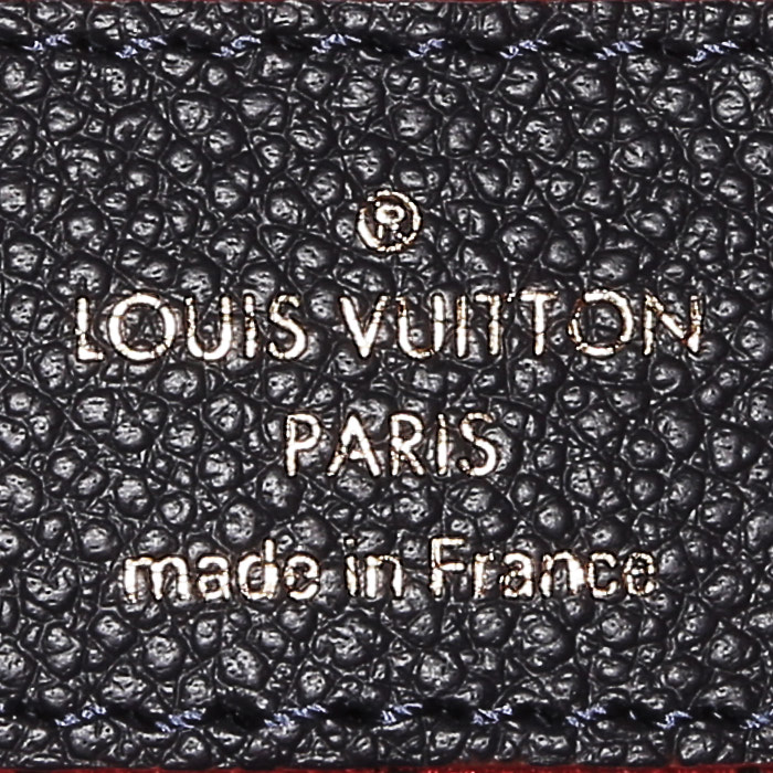 Borsa a tracolla Louis Vuitton  Metis in pelle monogram con stampa blu marino e pelle rossa - Detail D4