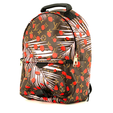 Louis Vuitton Palm Springs Backpack Backpack 377674