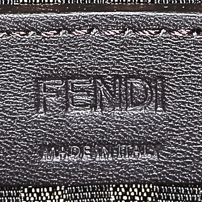 Sac à main Fendi  Sunshine en cuir Gris Asphalt - Detail D4