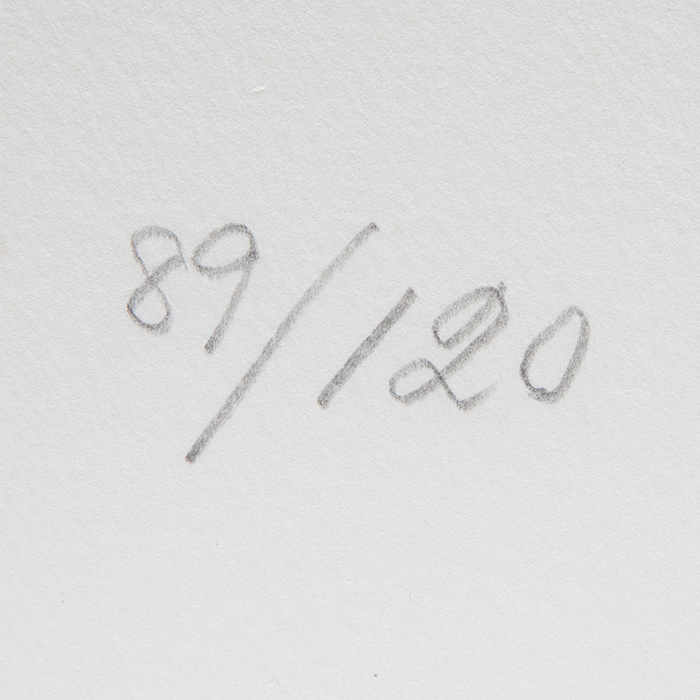 Chu Teh-Chun, "La paix universelle", lithograph in colors on paper, signed, numbered and framed, of 1988 - Detail D3