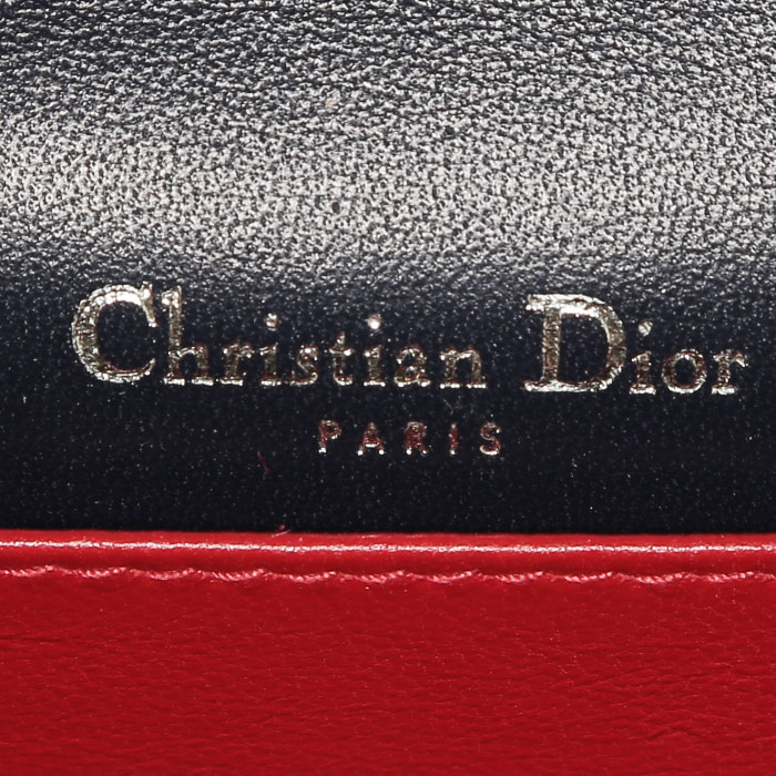 Dior   pouch  in blue python - Detail D3
