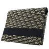 Dior   pouch  in beige and blue monogram canvas Oblique - 00pp thumbnail